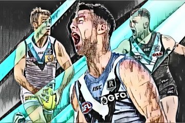 Home The Mongrel Punt