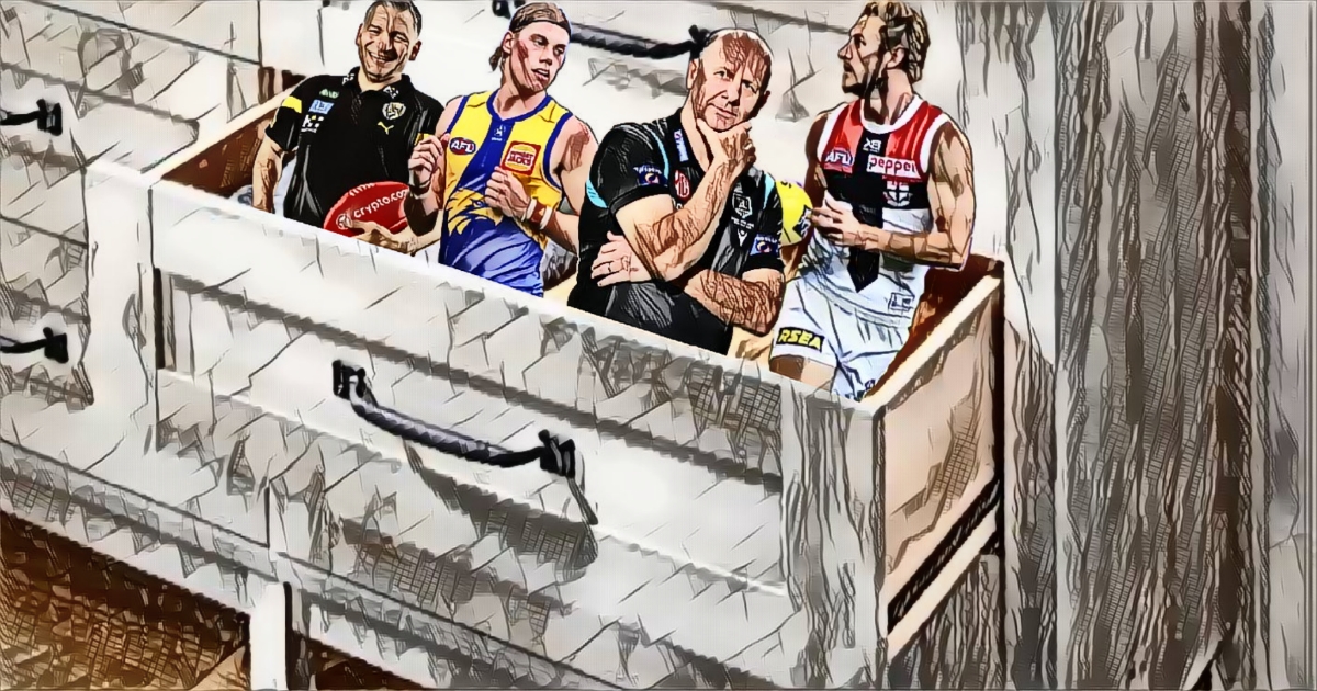 Sliding Drawers Pre Season Version The Mongrel Punt   Picsart 24 03 05 09 31 40 786 