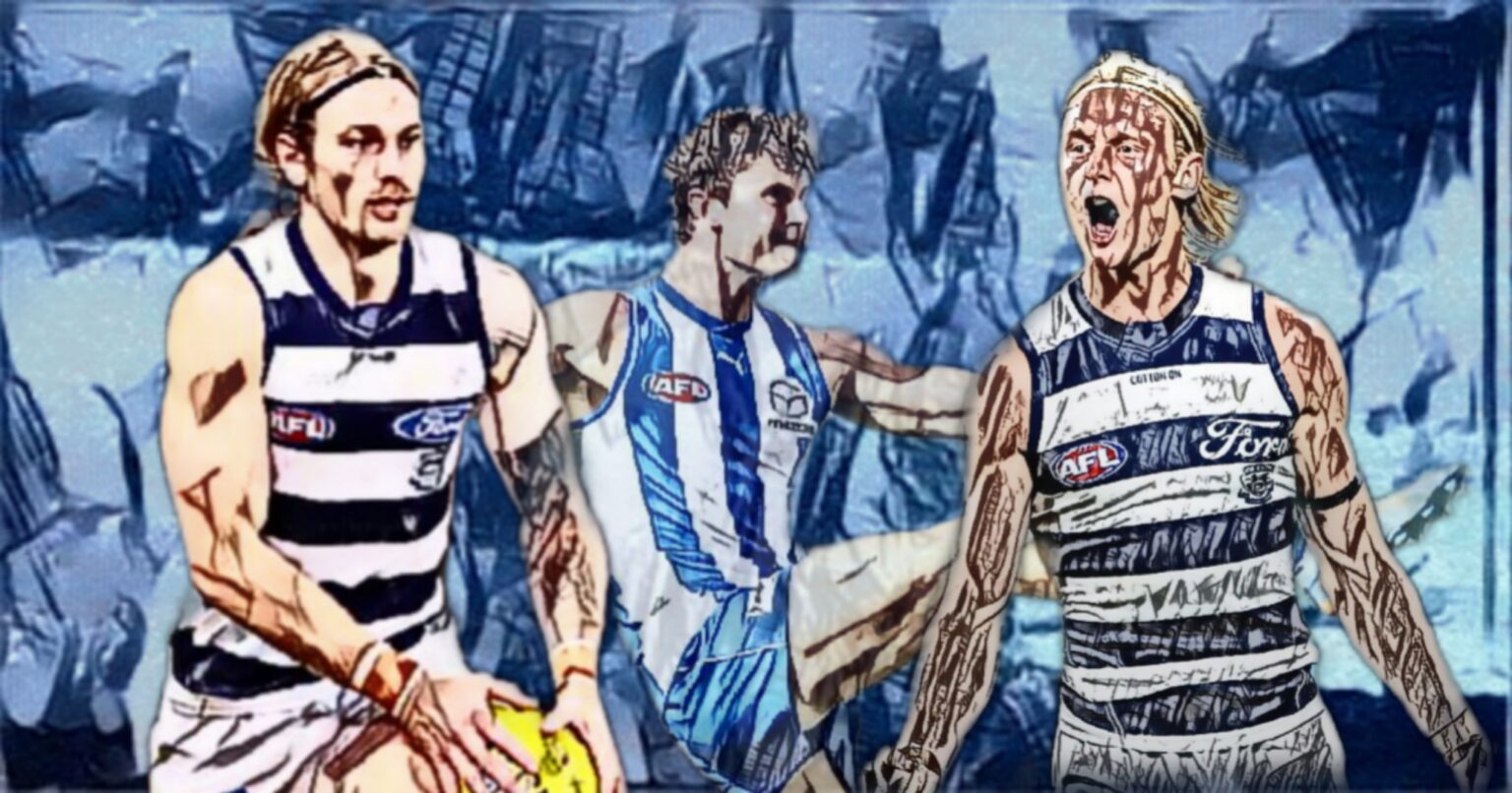 R20 Geelong v North Melbourne Perceptions versus Reality The Mongrel Punt